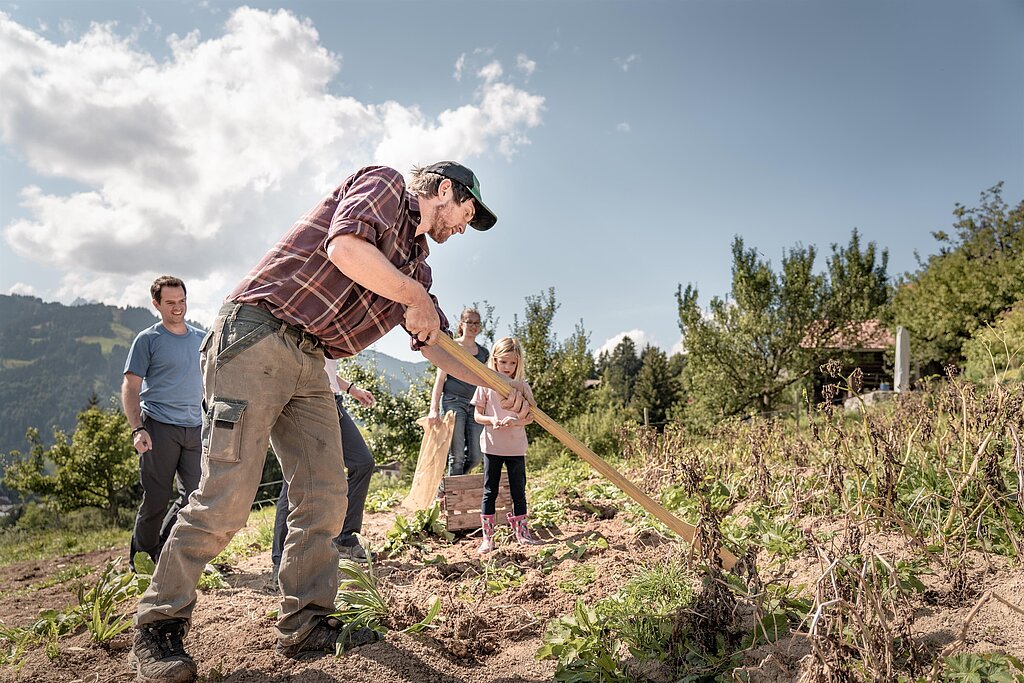 <p>Ein Bergbauer in braunen Hosen und rotem kariertem Hemd zeigt Gästen wie man Kartoffeln gräbt.</p>