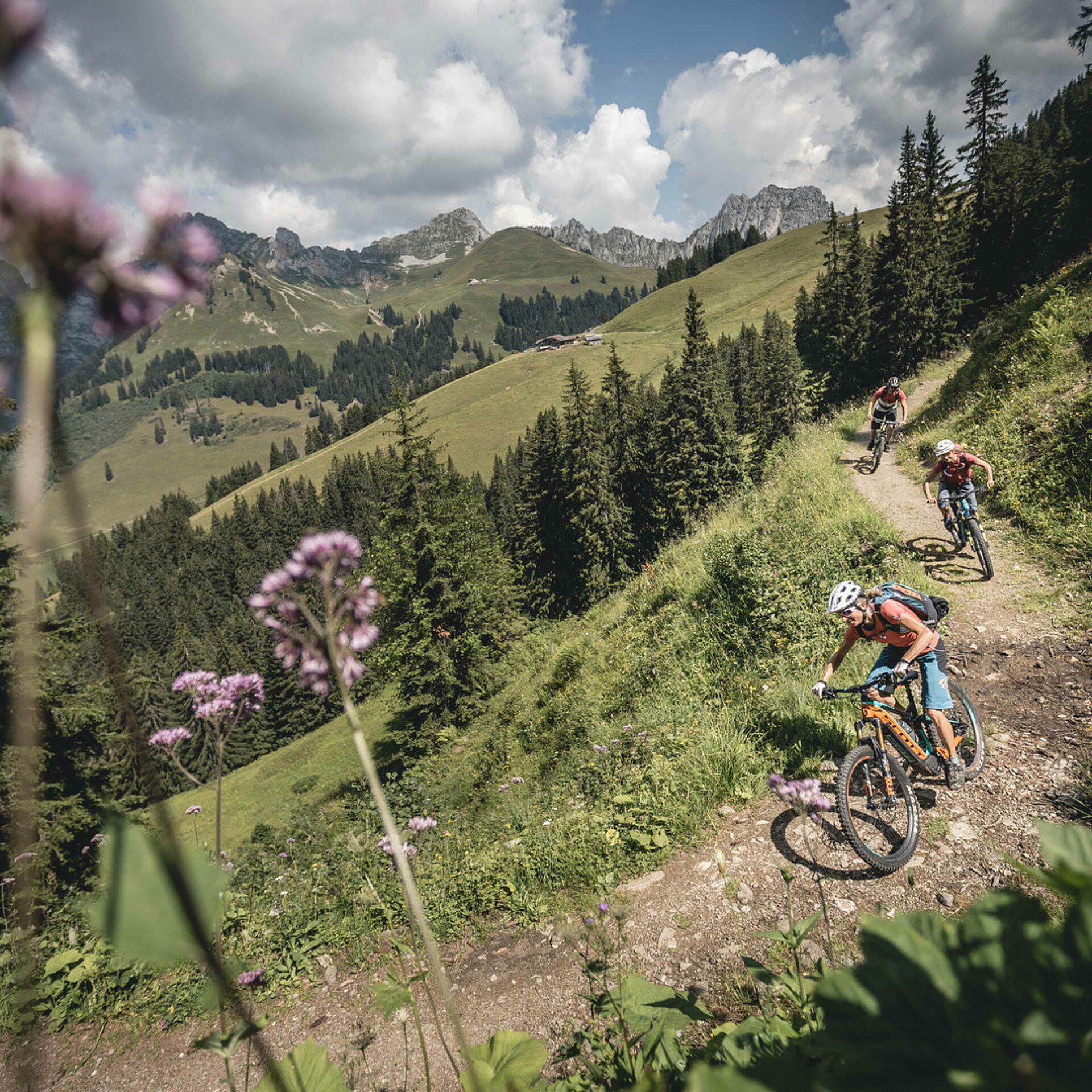 <p>Zwei Frauen und ein Mann fahren auf ihren E-Mountainbike den Schneit Trail mit Mittelberg her. Der Trail ist breit und erdig. Im Vordergund hat es ein paar unscharfe, violette Blumen.</p>