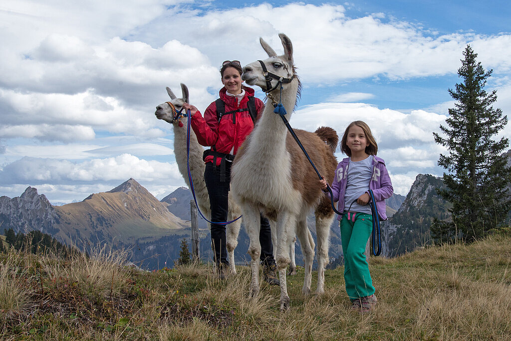 <p>Zwei Lamas und eine Mutter mit ihrer Tochter stehen auf einem Berg und schauen in die Kamera.</p>