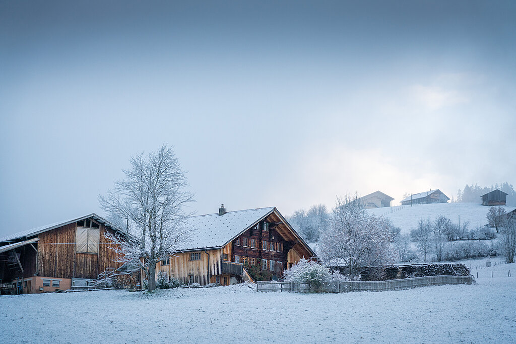 <p>Bauernhaus und Scheune mit Garten in winterlicher Landschaft.</p>