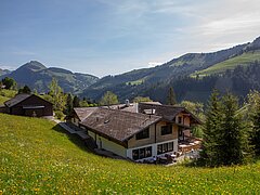 Kleines Hotel im Chaletstil inmitten von saftigem Gras mit Terrasse und Aussicht auf bewaldete Berge.