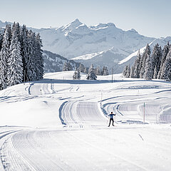 Eine präparierte Langlaufloipe mit einem schwarzgekleideten Langläufer und im Hintergrund verschneite Berge und Tannen.