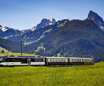 Ein blau-schwarzer Zug fährt durch eine grüne Wiese im Hintergrund noch verschneite Berge.