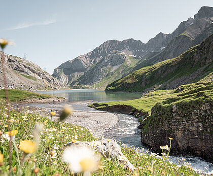 Ein Fluss, welcher in einen See fliesst umgeben von einer schönen Berglandschaft mit vielen Blumen.