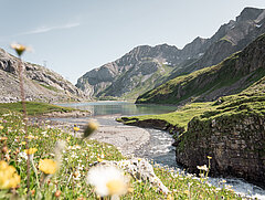 Ein Fluss, welcher in einen See fliesst umgeben von einer schönen Berglandschaft mit vielen Blumen.