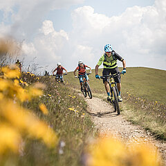 Several people on a bicycle riding along a path. On the left of the picture are yellow flowers.