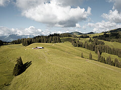 Eine grosse Landschaft mit grünen Wiesen und Wäldern im Sommer.