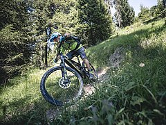 Ein Mountainbiker fährt auf einem Trail den Berg hinunter.