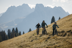 Drei Mountainbiker fahren auf einem schmalen Trail durch goldene Alpweiden. Im Hintergrund erheben sich markante Berggipfel über der herbstlichen Landschaft.