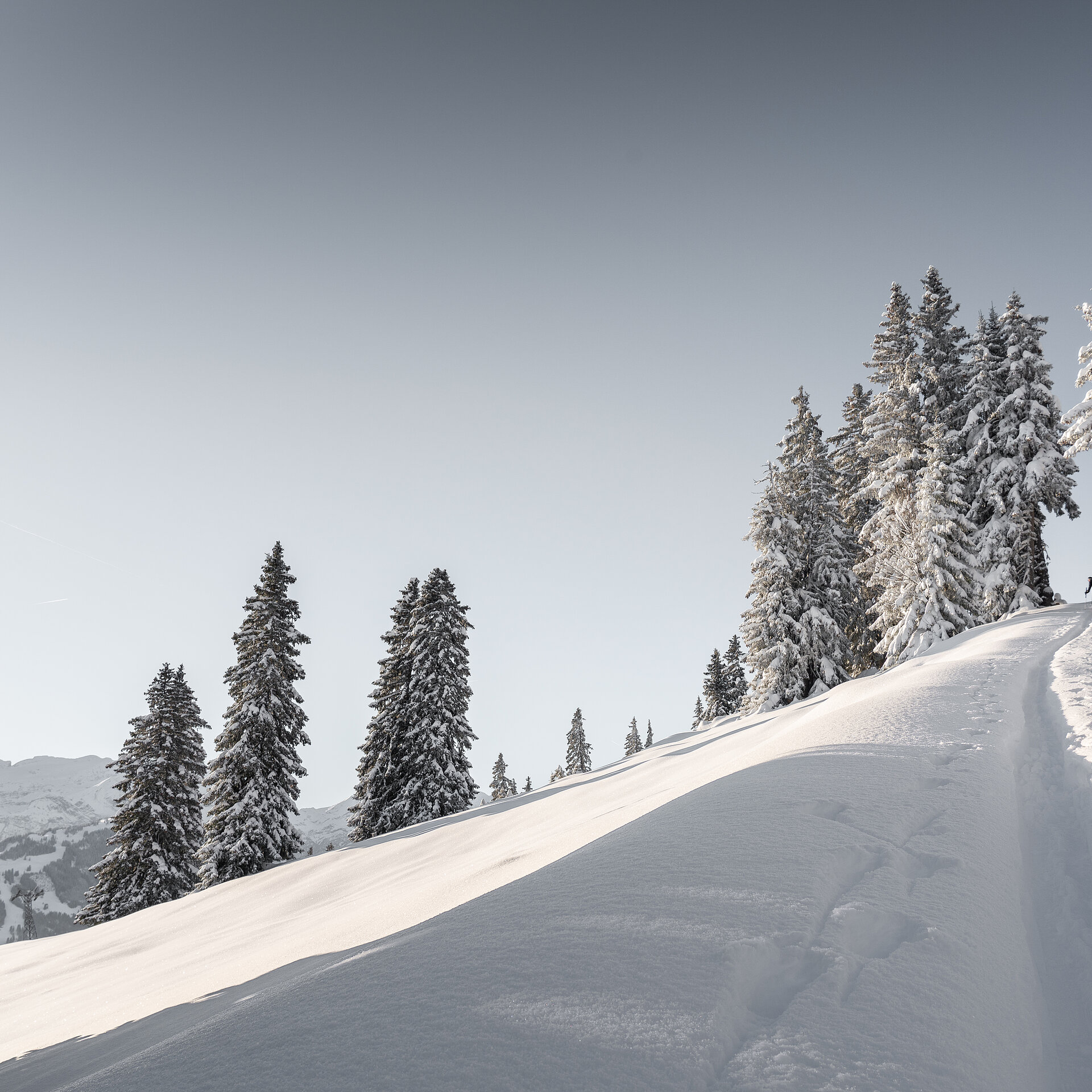 <p>Skitouring Weg auf dem Rellerli-Berg inklusive verschneiten Tannen.</p>