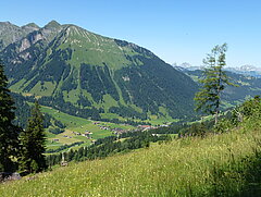 Vue sur une vallée verdoyante avec un petit village et de nombreuses montagnes.