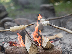 Des branches sont maintenues au-dessus du feu sur lesquelles sont piqués du pain et des guimauves.