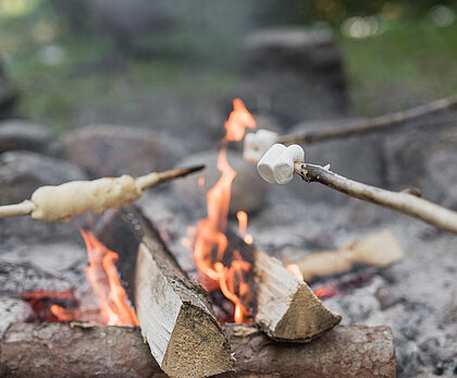 Äste werden übers Feuer gehalten mit Brot und Marshmallows.