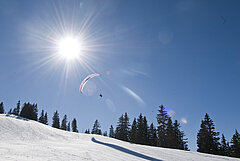 Paraglider flying above a snowy slope in bright sunshine, with forest and blue sky in the background.