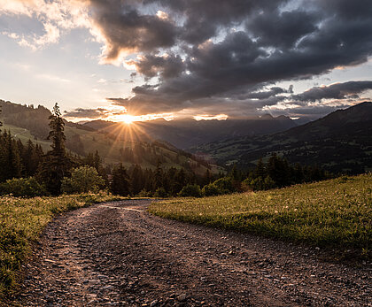 Durch eine Bergwiese führende Naturstrasse, im Hintergrund Wald und Bergpanorama mit Sonnenaufgang und Wolken.