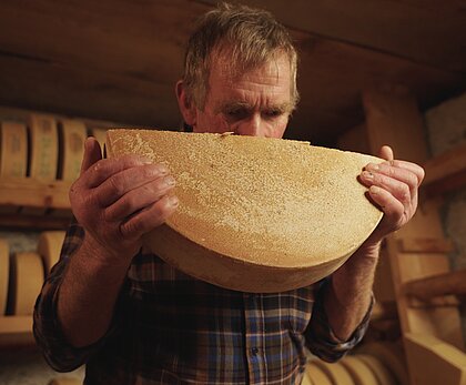 Ein Mann steht in einem Käsekeller und riecht an einem halben Laib Alpkäse.