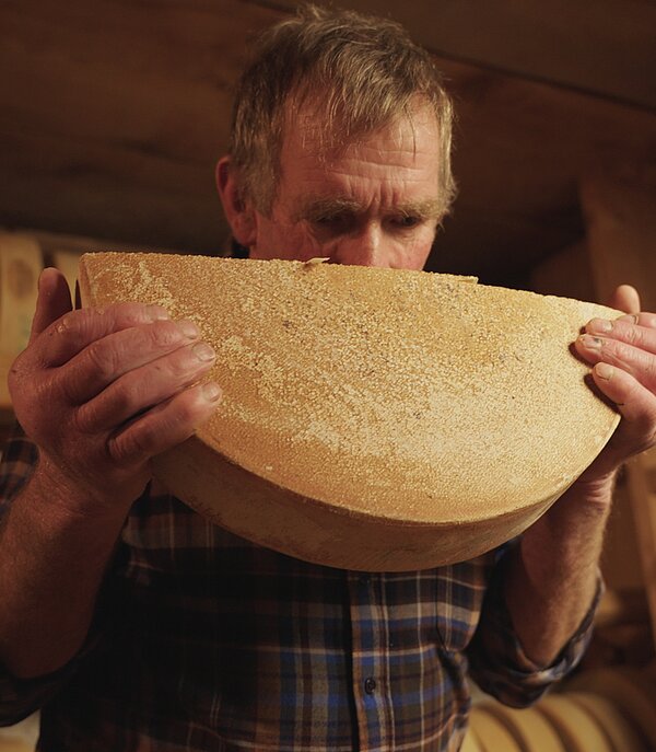 Ein Mann steht in einem Käsekeller und riecht an einem halben Laib Alpkäse.