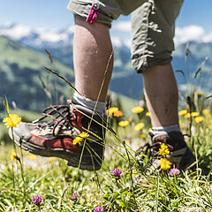 Legs and feet of two people. Focus on hiking boots while walking. Green meadows below.
