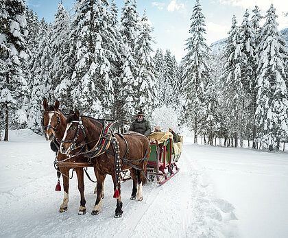 Pferdeschlitten fährt auf verschneitem Weg durch dichten Winterwald, Pferde und Kutsche klar im Vordergrund.