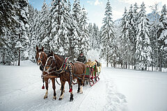 Horse‑drawn sledge moving along a snowy path through a dense winter forest, with horses and sleigh in the foreground.