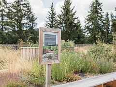 Kräuterweg mit Beschilderung und grünen Beeten.&nbsp;