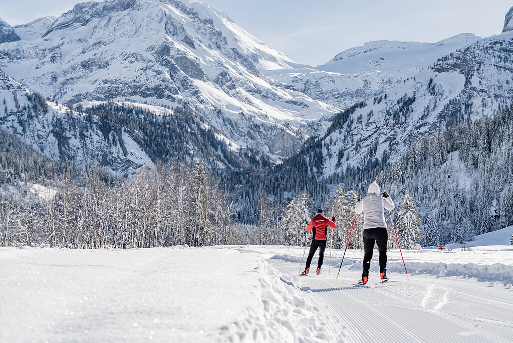 <p>Zwei Langlauf Sportler laufen vor dem Bergpanorama</p>