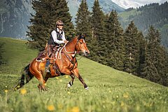 Reiterin auf einem Pferd galoppiert über eine blühende Wiese mit grünen Hängen, Tannenwald und alpiner Berglandschaft im Hintergrund.