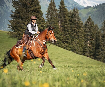 Reiterin auf einem Pferd galoppiert über eine blühende Wiese mit grünen Hängen, Tannenwald und alpiner Berglandschaft im Hintergrund.