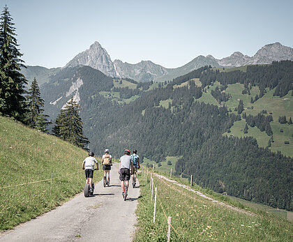 Vier Personen, welche mit einem Trottinett eine Bergstrasse herunterfahren.