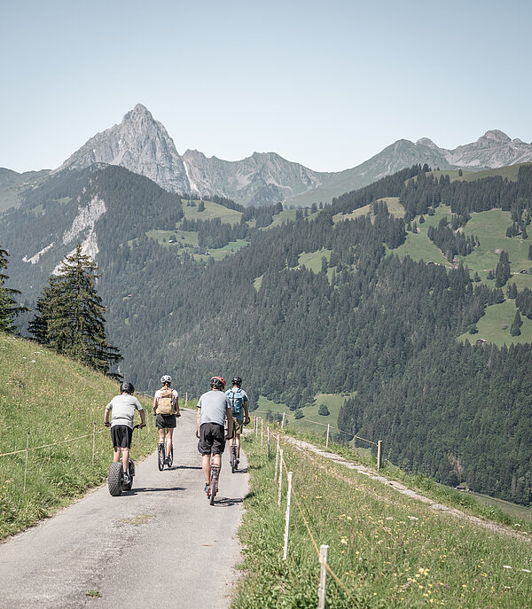 Vier Personen, welche mit einem Trottinett eine Bergstrasse herunterfahren.