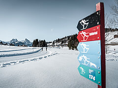 Signs to the cross-country trails, with different levels of difficulty.
