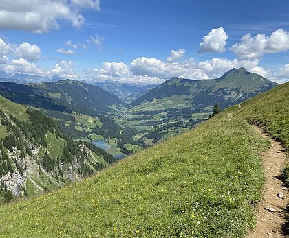 On the right-hand side, the narrow hiking trail winds its way forwards along the slope. Far below in the valley you can see Lake Lauenen in a blue/green colour. Behind it, the Lauenenhorn and the Wasserngrat with its green flanks rise up on the right. The long ridge towards Wispile can be seen on the left. The sky is blue with a few white cumulus clouds.