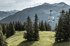 Eine Gondelbahnkabine fährt durch einen Wald und überquert einen Fahrweg, im Hintergrund Berge.