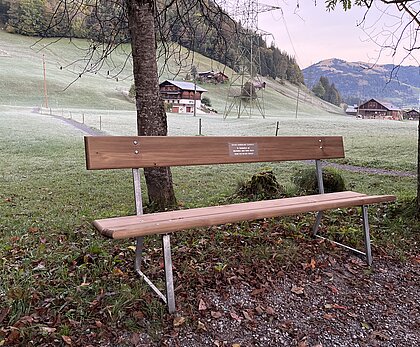 Eine Ruhebank ist im Zentrum des Bildes. Im Hintergrund ist eine wiese mit einigen Häusern zu sehen und direkt hinter und neben der Bank ist ein Baum