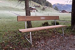 Un banc de repos se trouve au centre de l'image. En arrière-plan, on voit une prairie avec quelques maisons et un arbre juste derrière et à côté du banc.