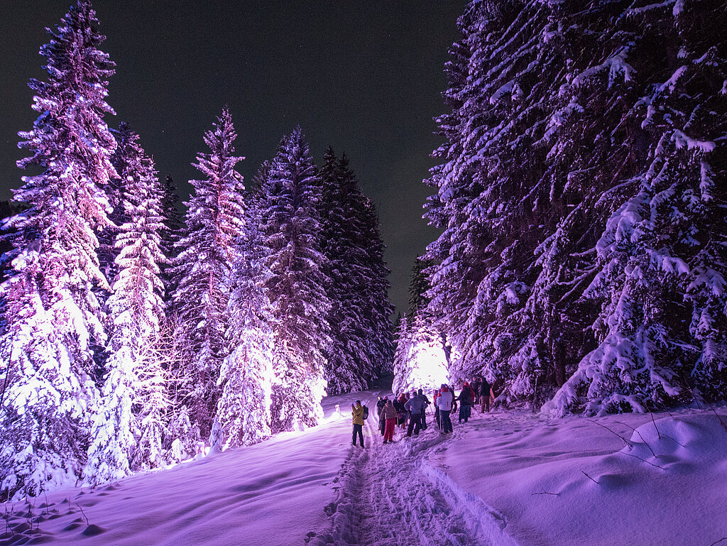 <p>Eine Gruppe Menschen wandern durch den violett beleuchteten verschneiten Wald Richtung Restaurant Lochstafel.</p>