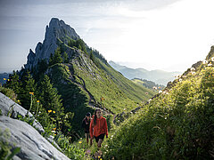 Eine Wanderin mit roter Jacke wandert über einen Grat in einer grünen Berglandschaft.