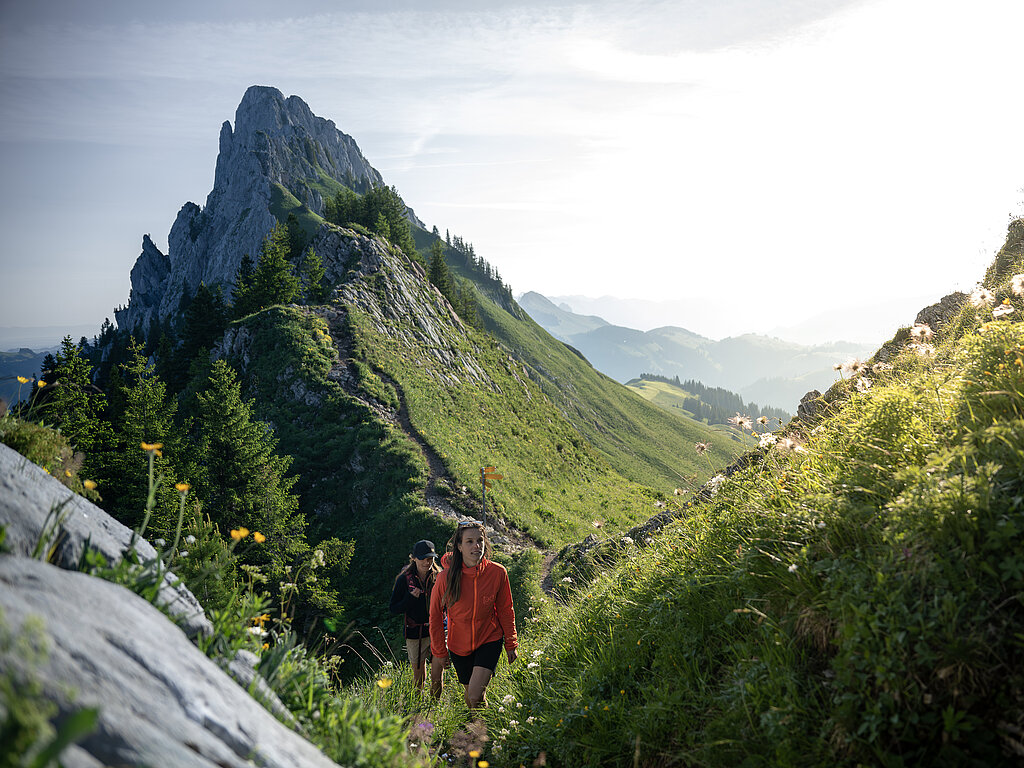 <p>Eine Wanderin mit roter Jacke wandert über einen Grat in einer grünen Berglandschaft.</p>