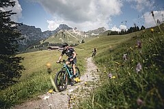 Zwei Mountainbiker fahren einem Naturweg hinunter.