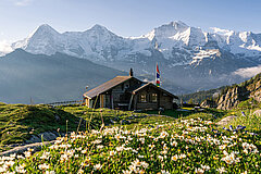 A mountain hut stands on a flowery meadow with a view of three large mountains.
