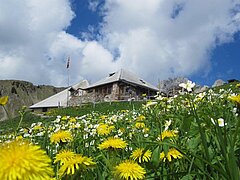 Eine Berghütte und im Vordergrund eine schöne Blumenwiese.