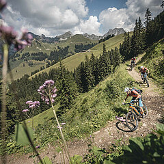 Zwei Frauen und ein Mann fahren auf ihren E-Mountainbike den Schneit Trail mit Mittelberg her. Der Trail ist breit und erdig. Im Vordergund hat es ein paar unscharfe, violette Blumen.