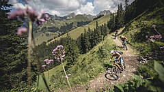 Mountainbike fahren einen Trail herunter