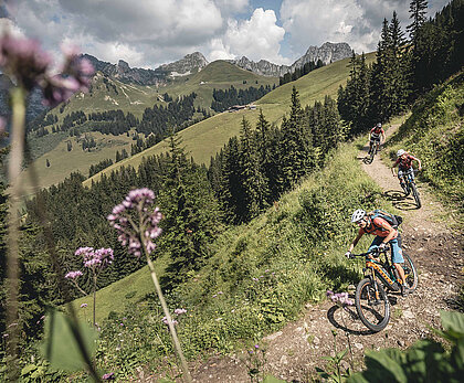 Mountainbike fahren einen Trail herunter