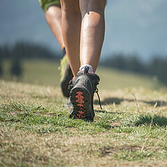Hiking boots and legs of various people.