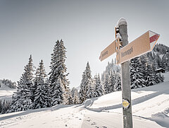 Zwei gelbe Wanderwegweiser mit weiss-rot-weissen Pfeilen und schwarzer Aufschrift Horneggli und Hornberg auf frisch verschneitem Winterwanderweg mit Wald im Hintergrund.