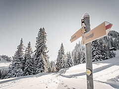 Zwei gelbe Wanderwegweiser mit weiss-rot-weissen Pfeilen und schwarzer Aufschrift Horneggli und Hornberg auf frisch verschneitem Winterwanderweg mit Wald im Hintergrund.