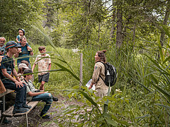 Die Rangerin erklärt der Gruppe in einem Waldstück interessantes über die Fauna am Lauenensee