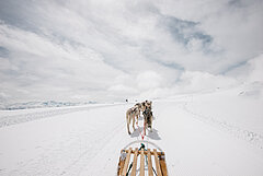 Hundeschlittenfahrt auf dem Glacier 3000.