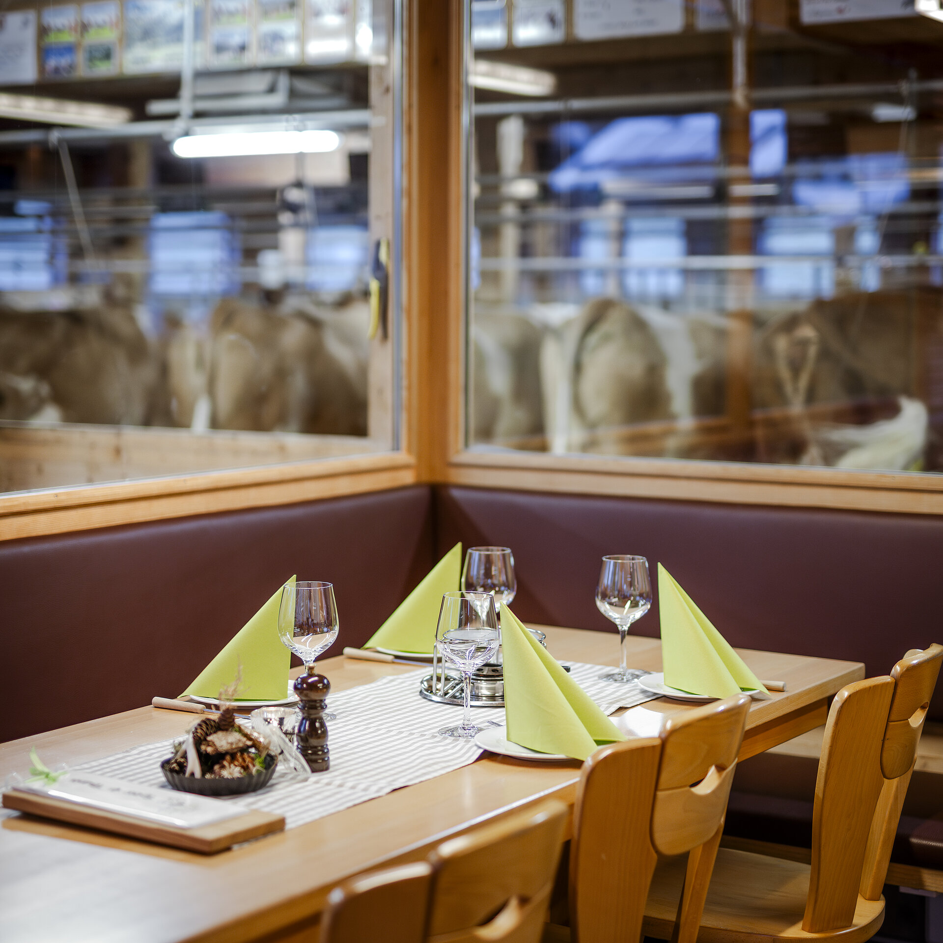<p>Der Ecktisch in Michels Stallbeizli ist eingedeckt mit grünen Servietten, Weinglässern und Fondue-Caquelon. Neben der Eckbank stehen drei Holzstühle am Tisch und im Hintergrund kann man durch die Fensterscheibe die Kühe im Stall beobachten.</p>
